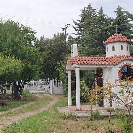 Hephaestus Appartments Litochoro - A2 Екстериор снимка